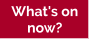 What's on now?