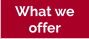 What we offer
