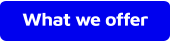 What we offer