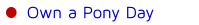 Own a Pony Day