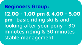 Beginners Group:	 12.00 - 1.00 pm & 4.00 - 5.00 pm- basic riding skills and looking after your pony - 30 minutes riding & 30 minutes stable management
